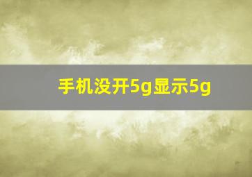 手机没开5g显示5g