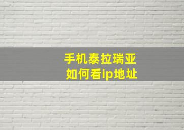 手机泰拉瑞亚如何看ip地址