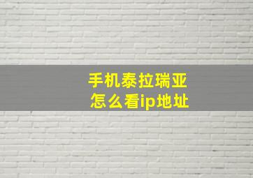 手机泰拉瑞亚怎么看ip地址