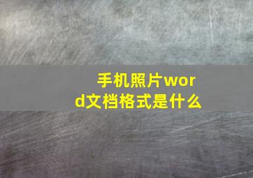 手机照片word文档格式是什么