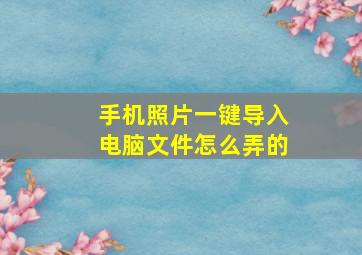 手机照片一键导入电脑文件怎么弄的