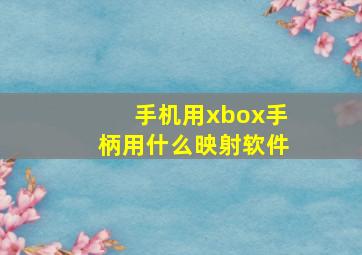 手机用xbox手柄用什么映射软件