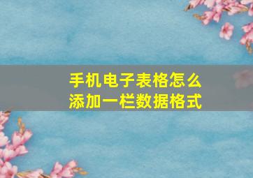 手机电子表格怎么添加一栏数据格式