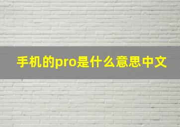 手机的pro是什么意思中文