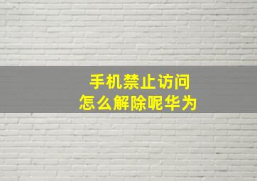 手机禁止访问怎么解除呢华为