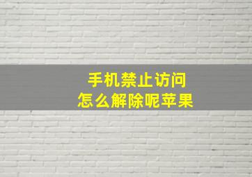 手机禁止访问怎么解除呢苹果