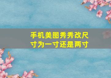 手机美图秀秀改尺寸为一寸还是两寸