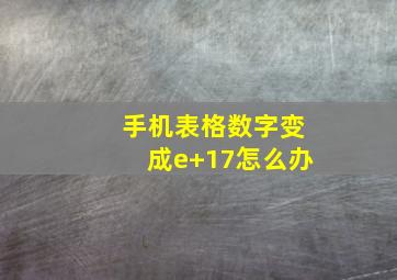 手机表格数字变成e+17怎么办