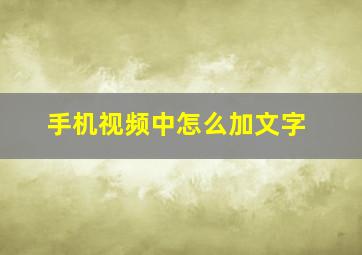 手机视频中怎么加文字