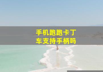 手机跑跑卡丁车支持手柄吗