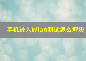 手机进入Wlan测试怎么解决