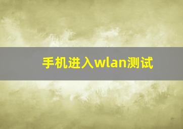 手机进入wlan测试