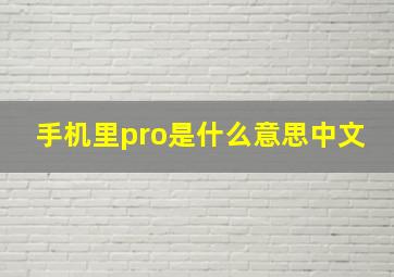 手机里pro是什么意思中文