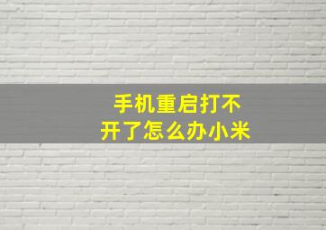 手机重启打不开了怎么办小米