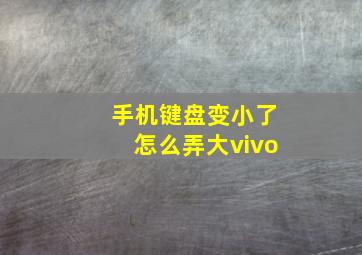 手机键盘变小了怎么弄大vivo