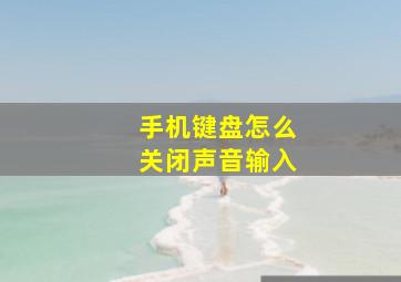 手机键盘怎么关闭声音输入