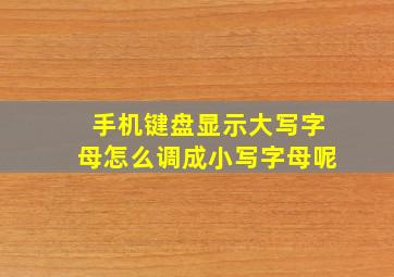 手机键盘显示大写字母怎么调成小写字母呢