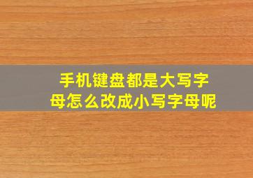 手机键盘都是大写字母怎么改成小写字母呢