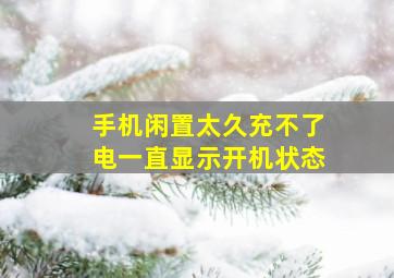 手机闲置太久充不了电一直显示开机状态