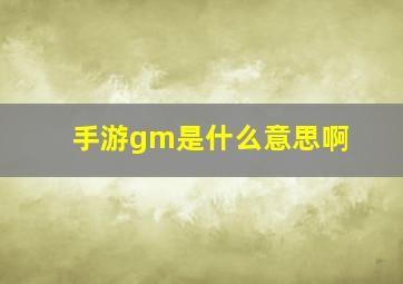 手游gm是什么意思啊