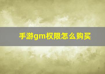 手游gm权限怎么购买