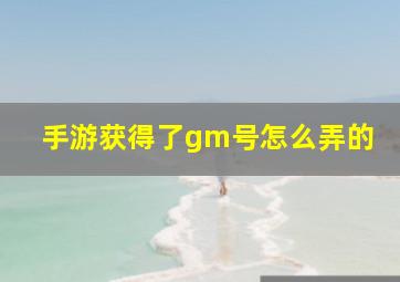 手游获得了gm号怎么弄的