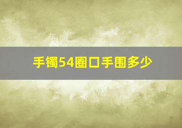 手镯54圈口手围多少