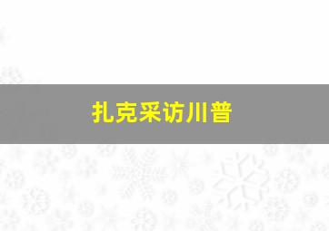 扎克采访川普