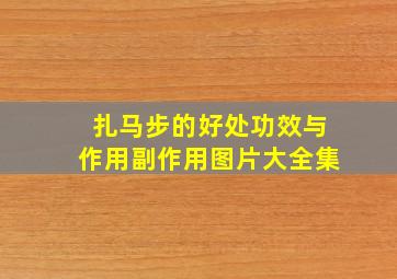 扎马步的好处功效与作用副作用图片大全集