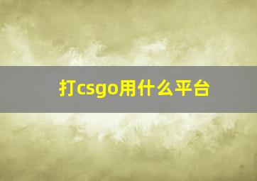 打csgo用什么平台