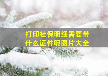 打印社保明细需要带什么证件呢图片大全