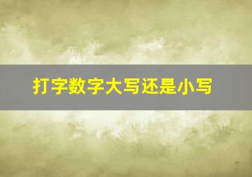 打字数字大写还是小写