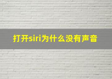 打开siri为什么没有声音