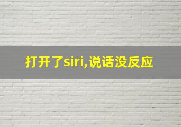 打开了siri,说话没反应