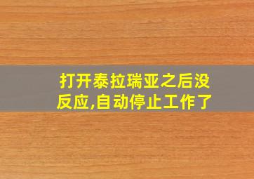 打开泰拉瑞亚之后没反应,自动停止工作了