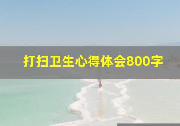 打扫卫生心得体会800字