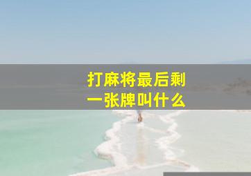 打麻将最后剩一张牌叫什么