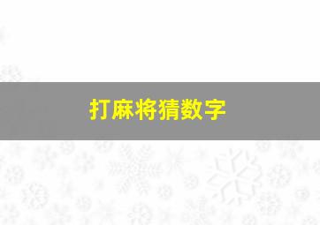 打麻将猜数字