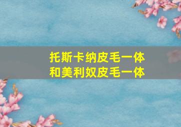 托斯卡纳皮毛一体和美利奴皮毛一体