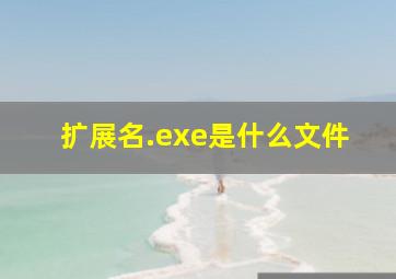 扩展名.exe是什么文件