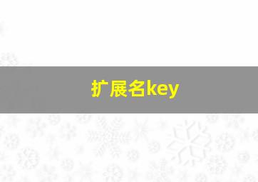 扩展名key