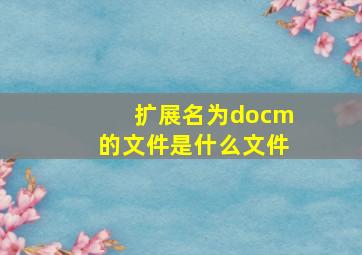 扩展名为docm的文件是什么文件