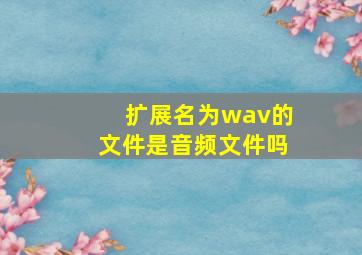 扩展名为wav的文件是音频文件吗