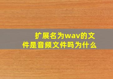 扩展名为wav的文件是音频文件吗为什么