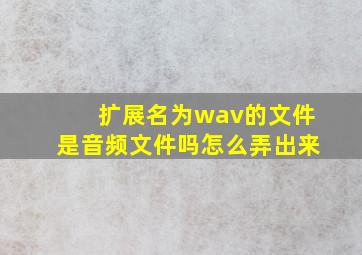 扩展名为wav的文件是音频文件吗怎么弄出来