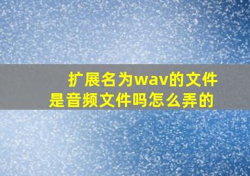 扩展名为wav的文件是音频文件吗怎么弄的