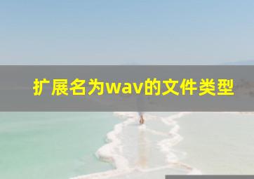 扩展名为wav的文件类型