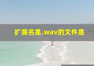 扩展名是.wav的文件是