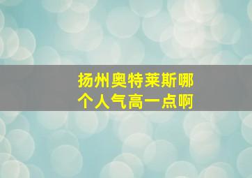 扬州奥特莱斯哪个人气高一点啊