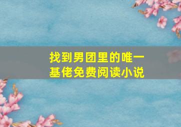 找到男团里的唯一基佬免费阅读小说